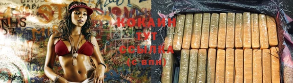 кокс Абаза